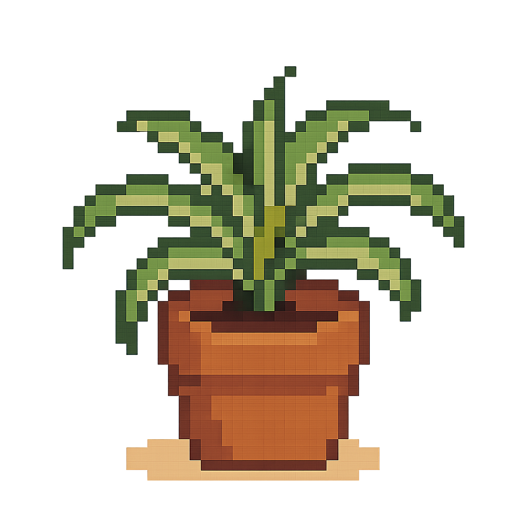 spider plant